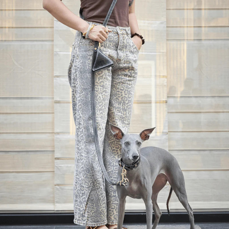 Obsidian Hands-Free Dog Leash