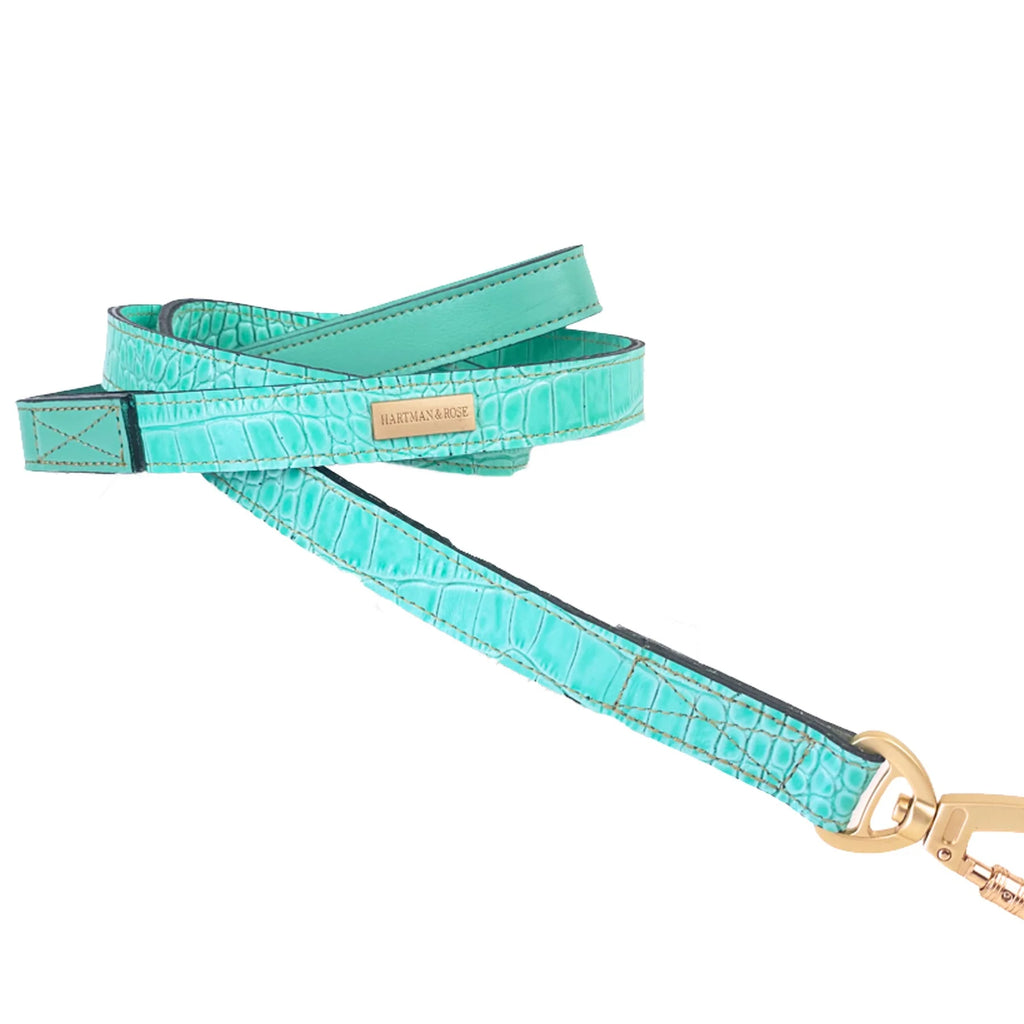 Cayman Dog Leash in Turquoise