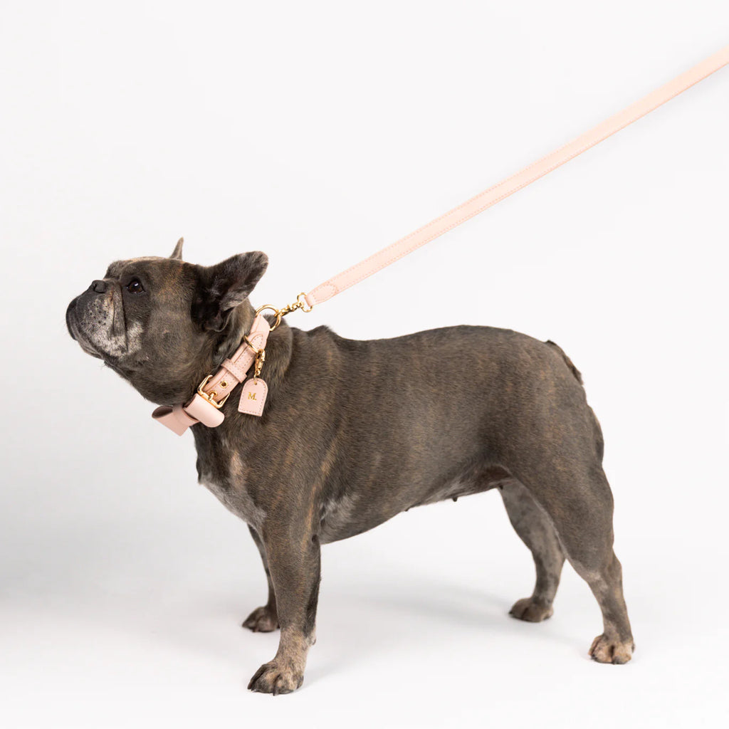 Rose Quartz - Vegan Leather Collar