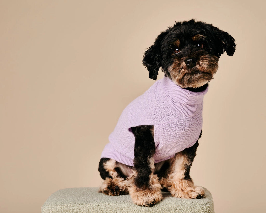 Coco Sweater – Purple