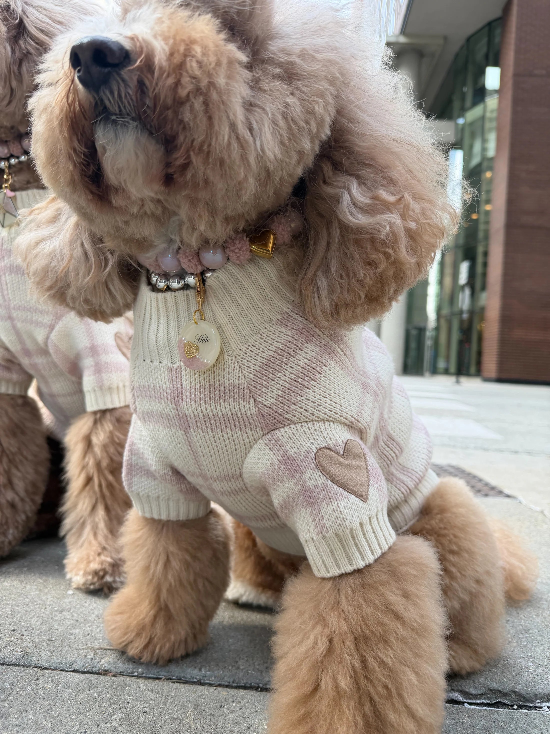 Hearthmauve Sweater Set