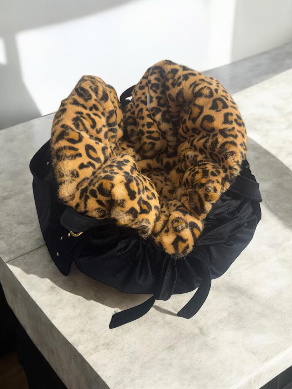 Luxury Leopard Dog Carrier & Velvet Bed