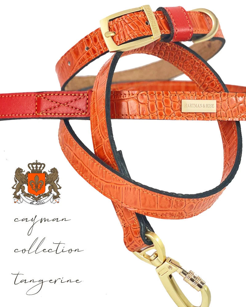 Cayman Dog Collar in Tangerine