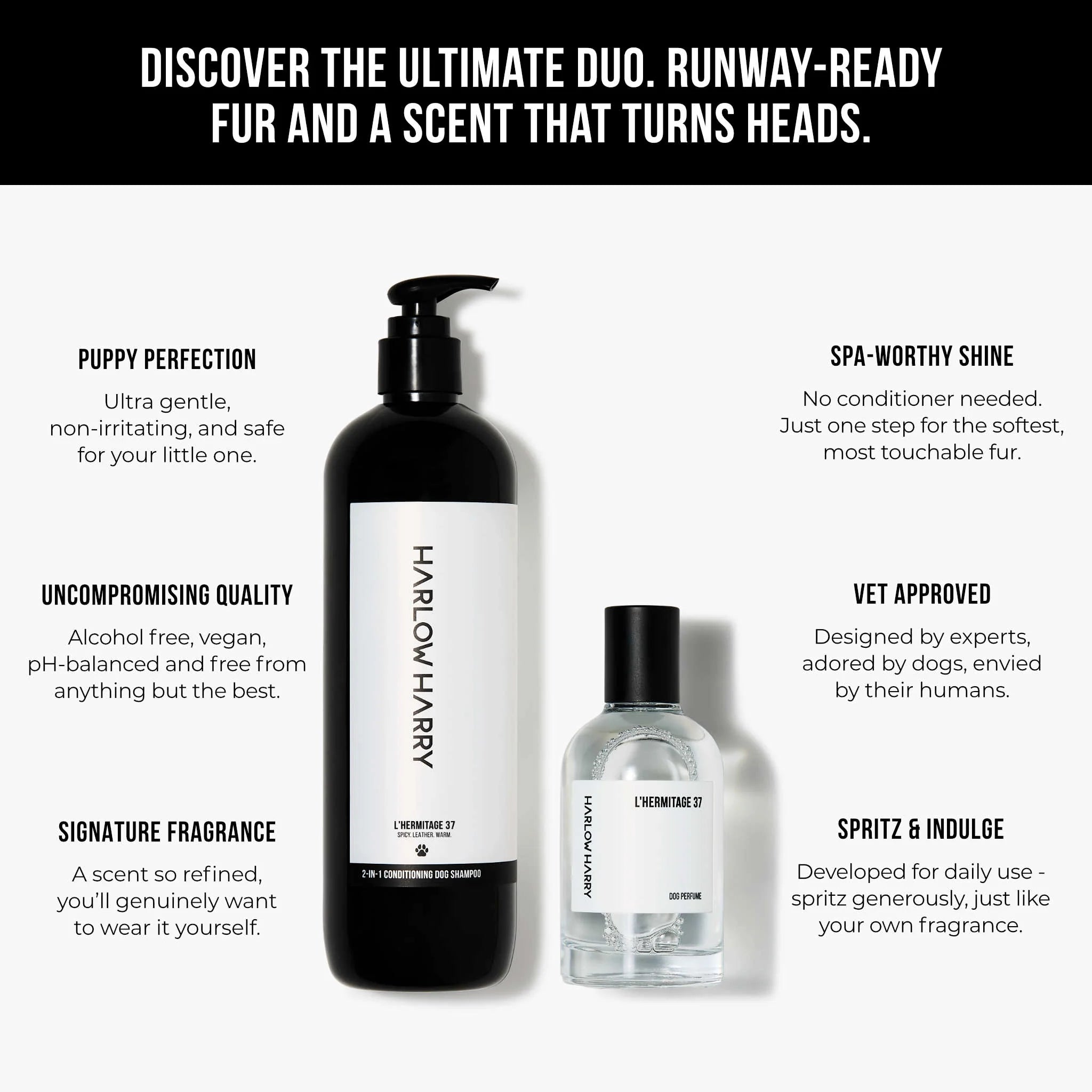 The Set | L'Hermitage 37