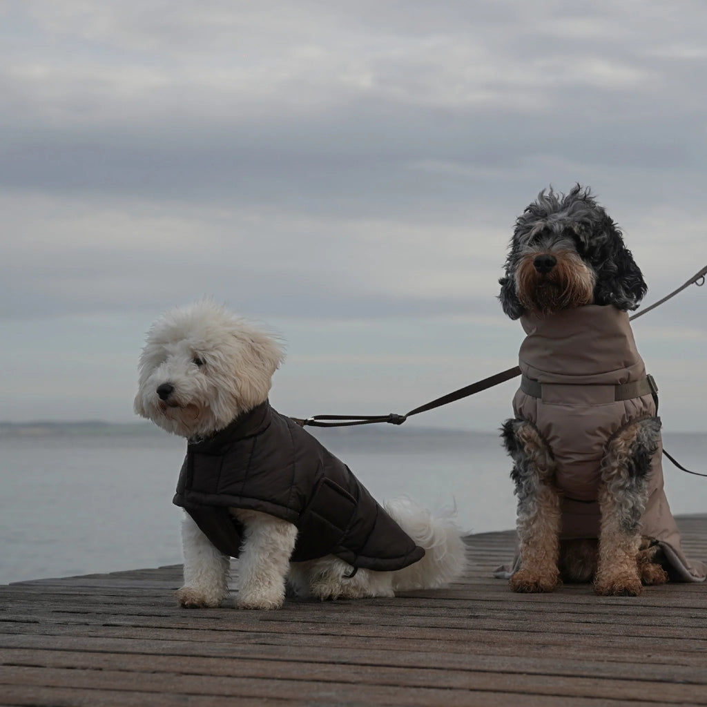 Nora Dog Coat | Espresso