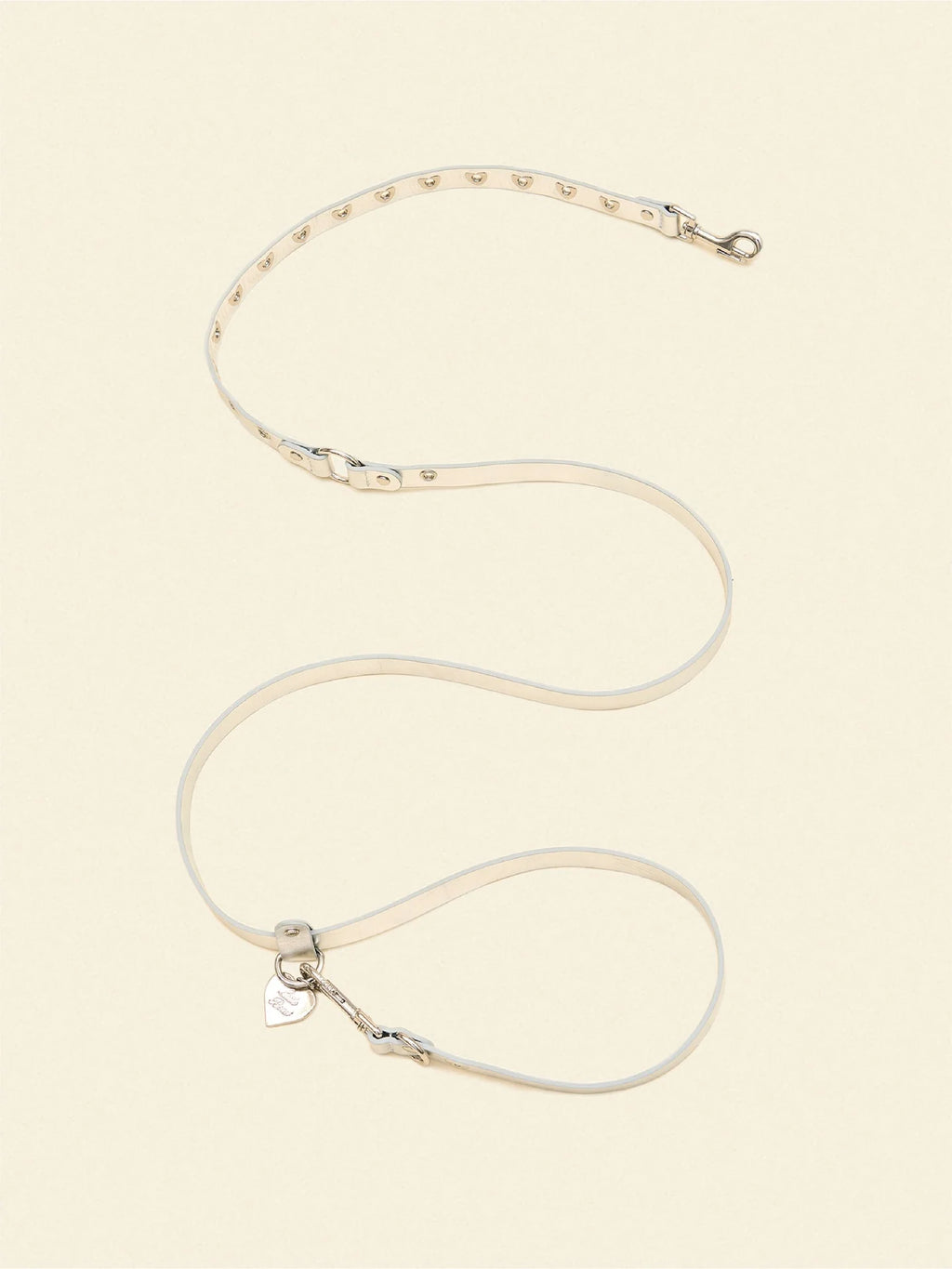 You Mean the World to Me Leash - Silver