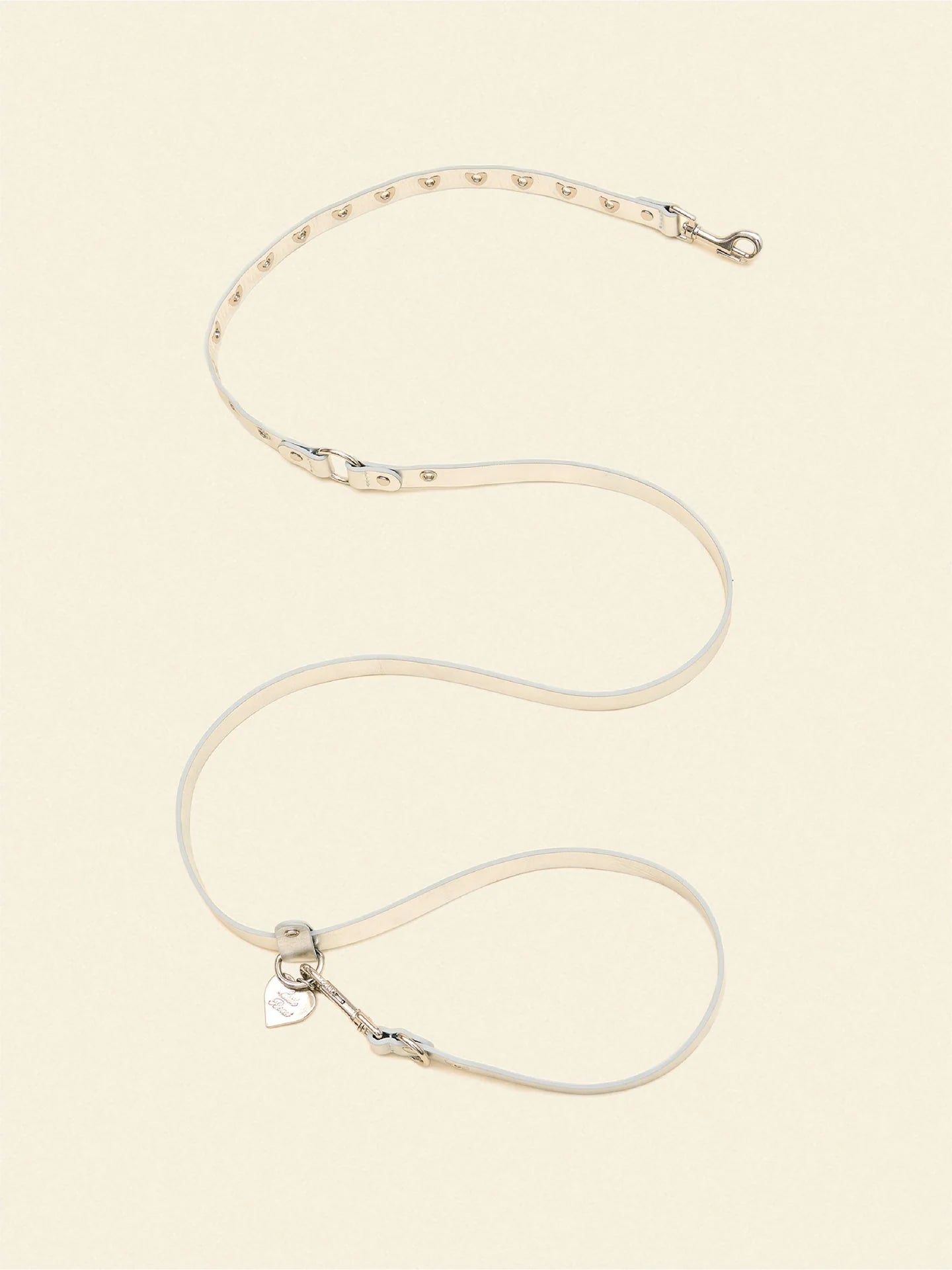 You Mean the World to Me Leash - Silver