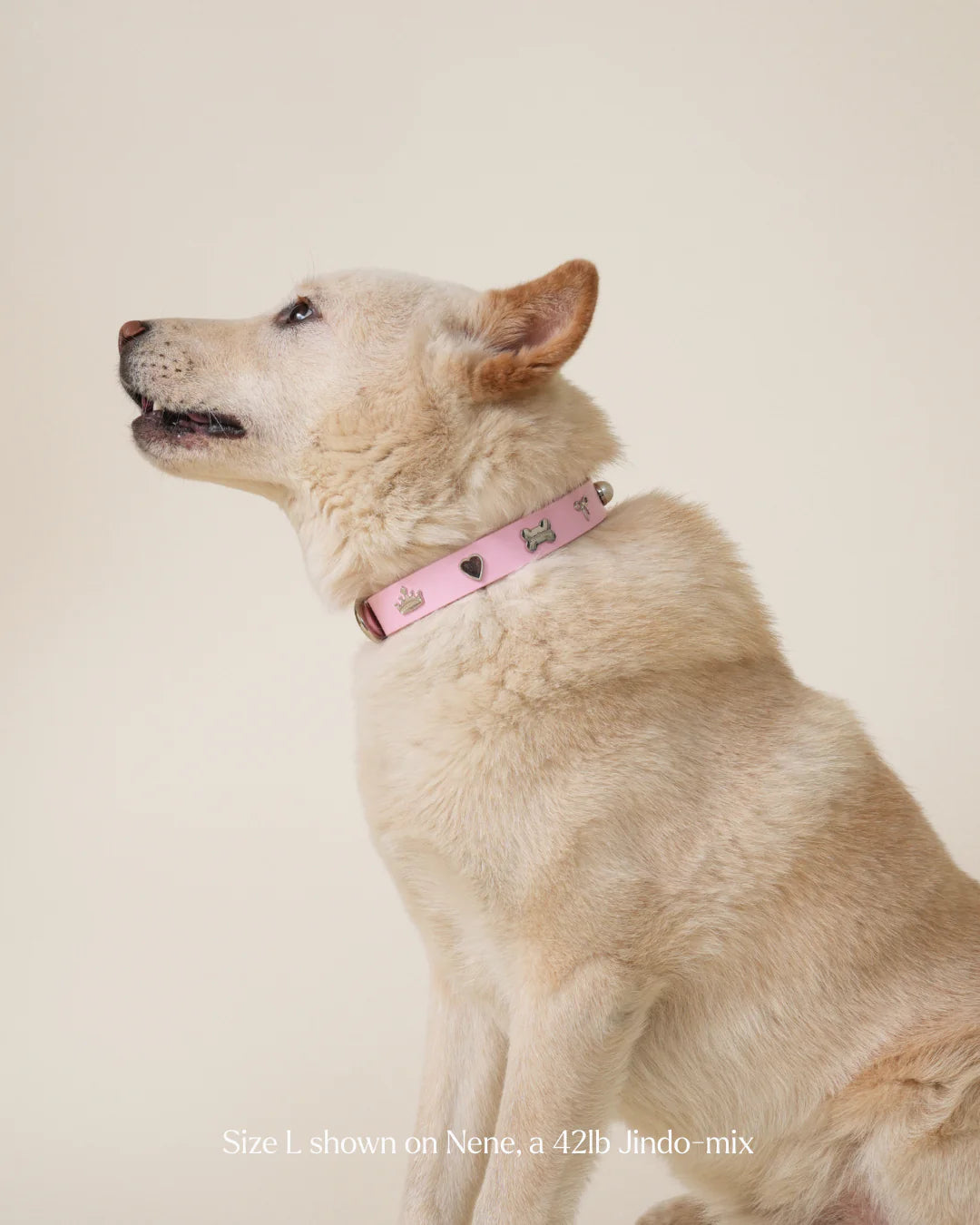 Princess Collar