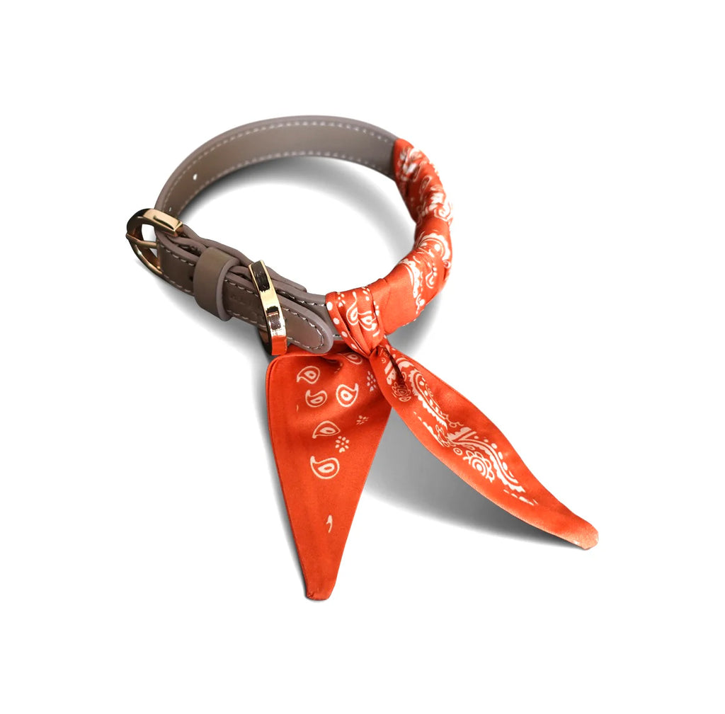 Dog Collar Twilly Paisley - Orange
