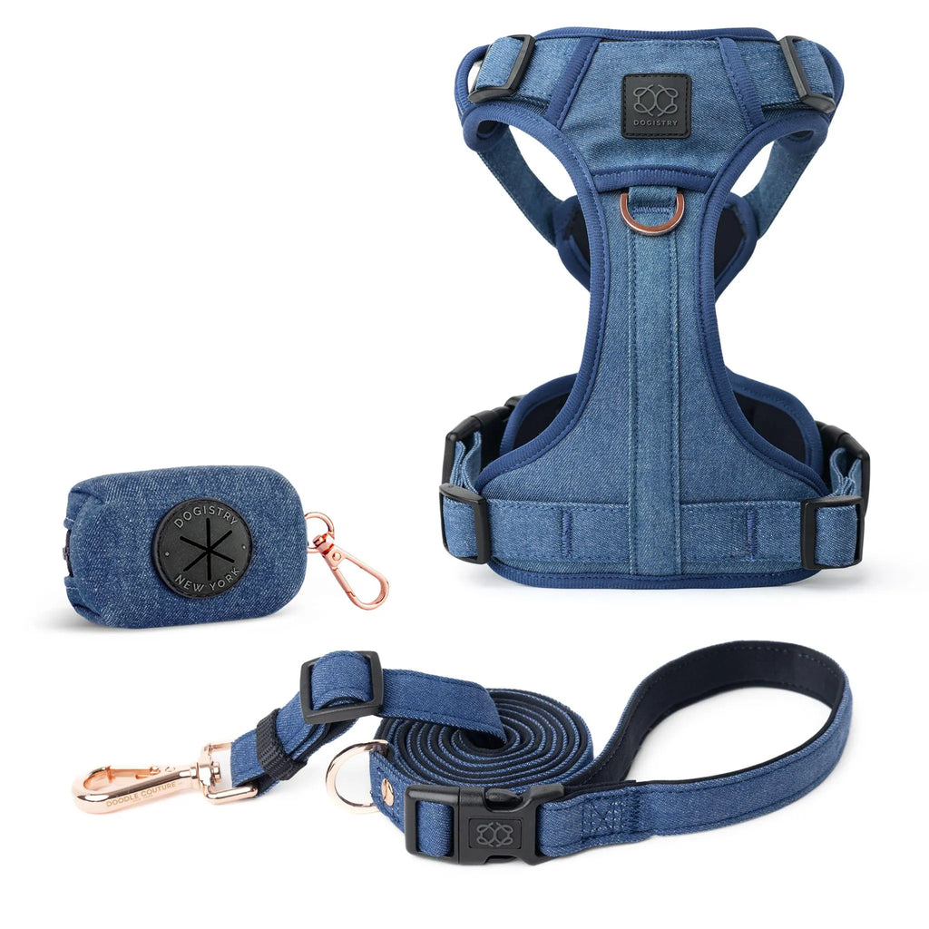 Nomad Adjustable Dog Walking Set - Denim