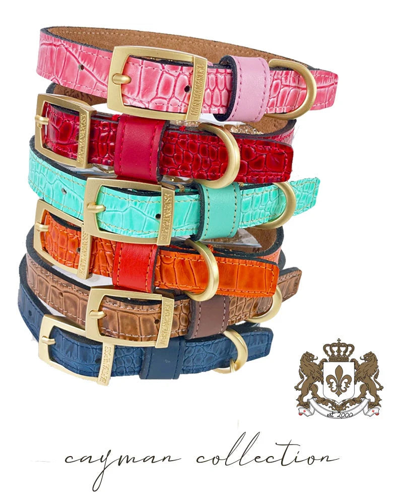 Cayman Dog Leash in Tangerine