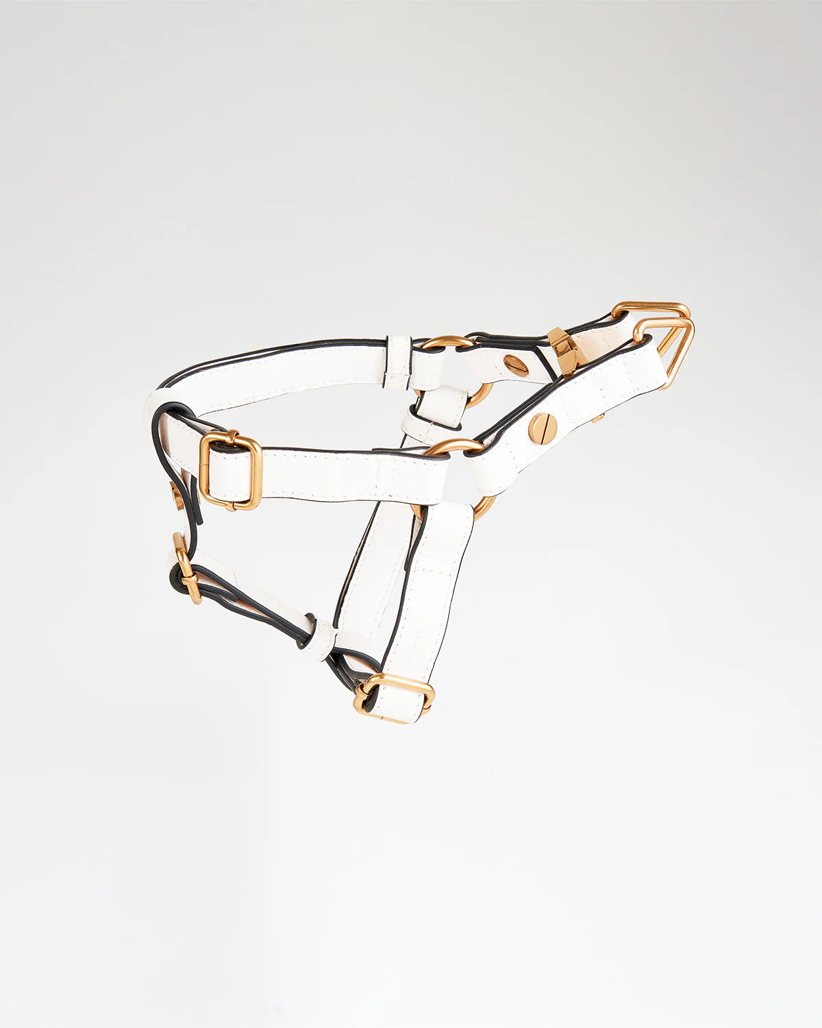 Classique Harnais Pour Chien - BLANC