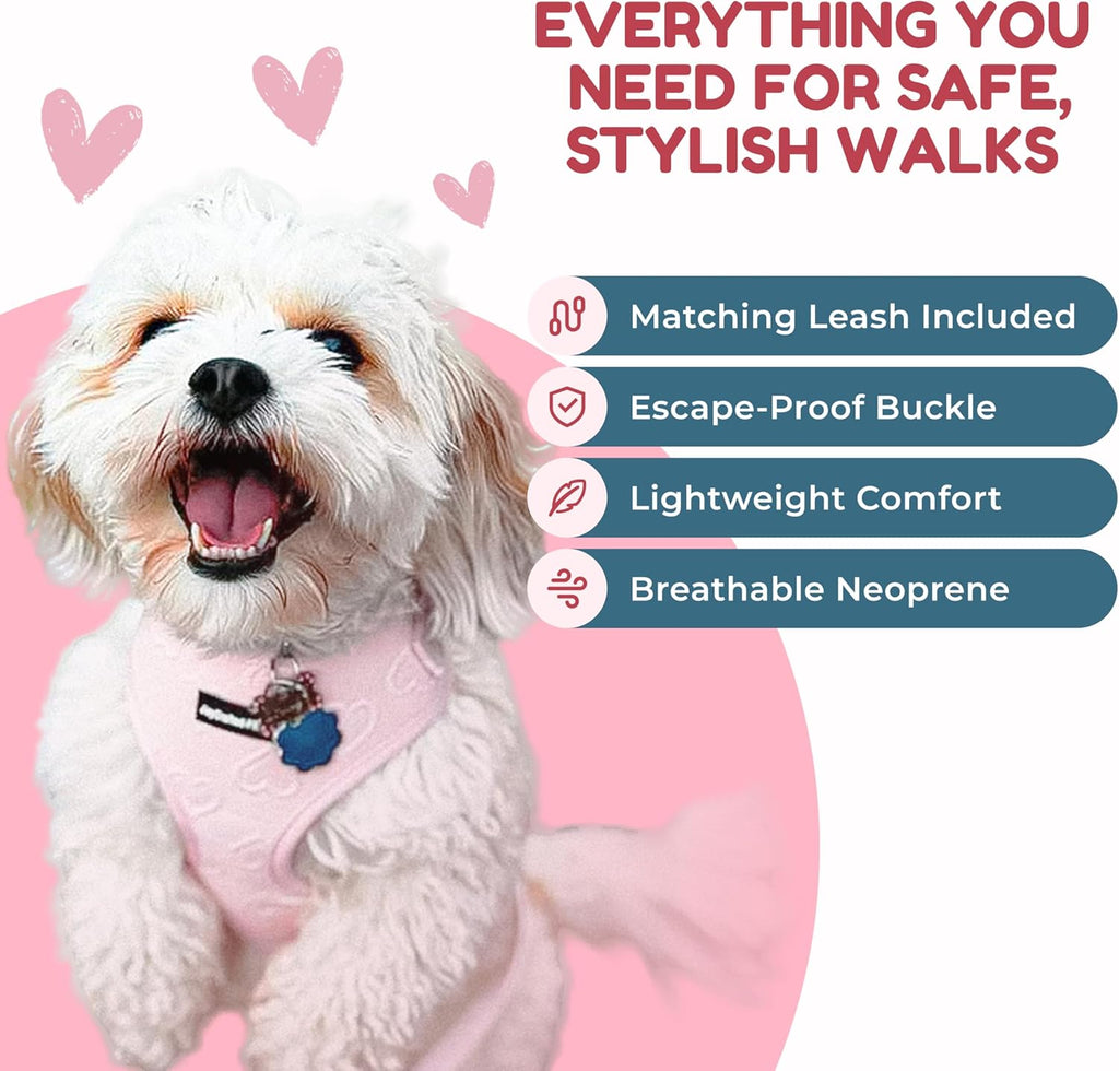 Signature No-Pull Puppy Harness & Leash Set — Pink Heart Mesh