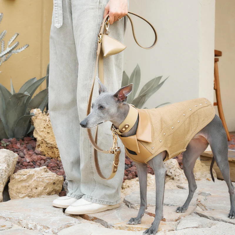Palais Hands-Free Dog Leash