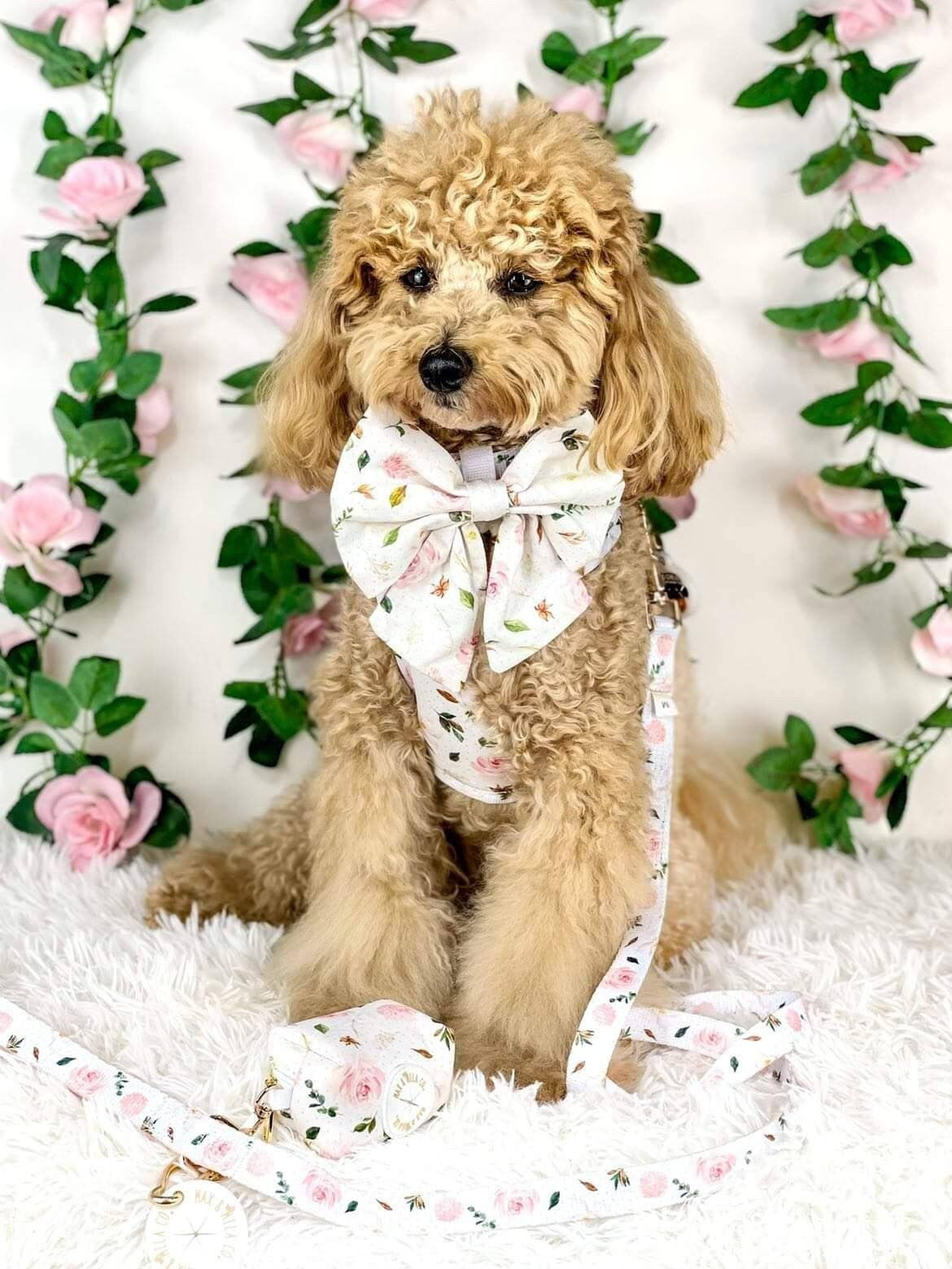 La Vie En Rose Designer Dog Harness Set