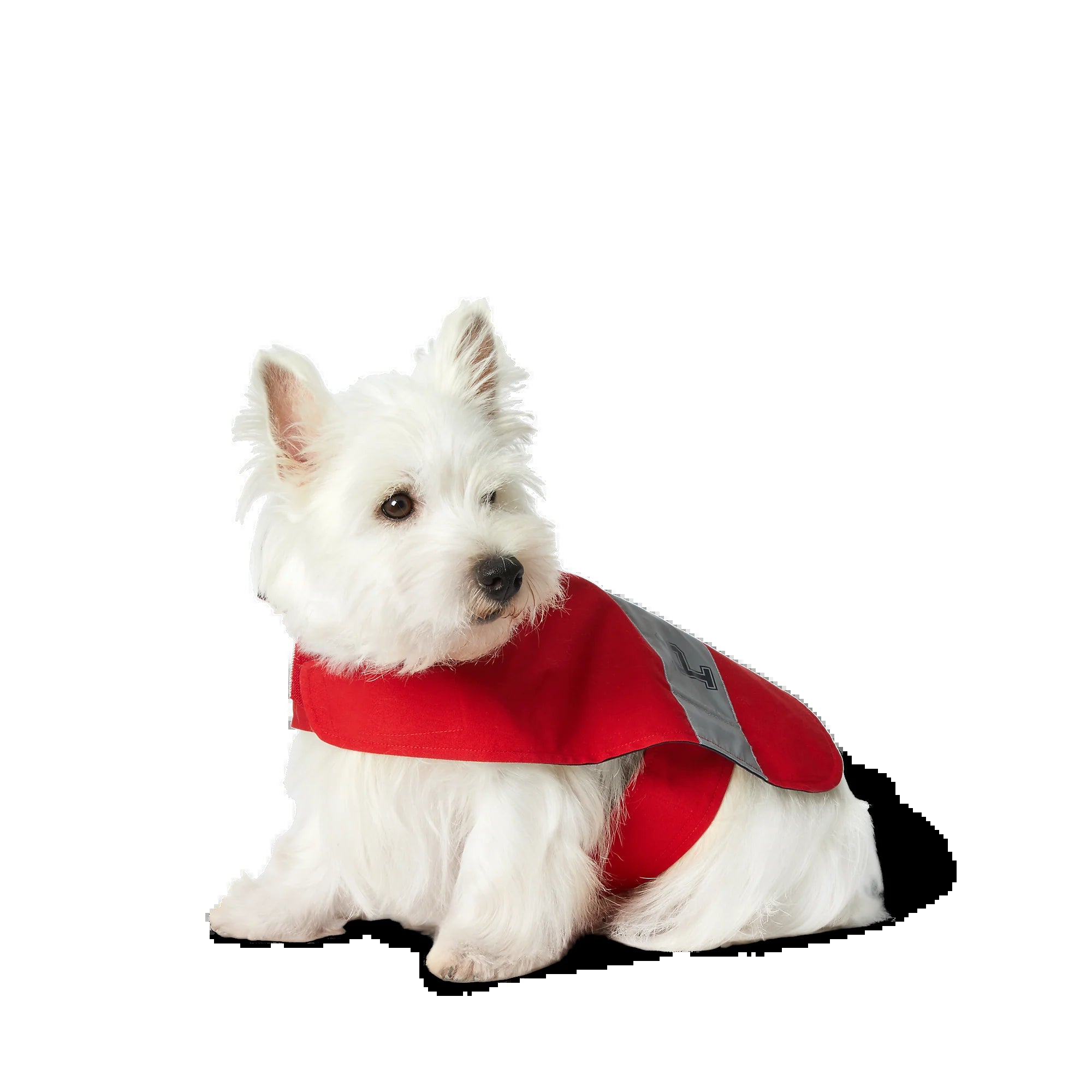 Polo Ralph Lauren Cotton-Canvas Dog Raincoat