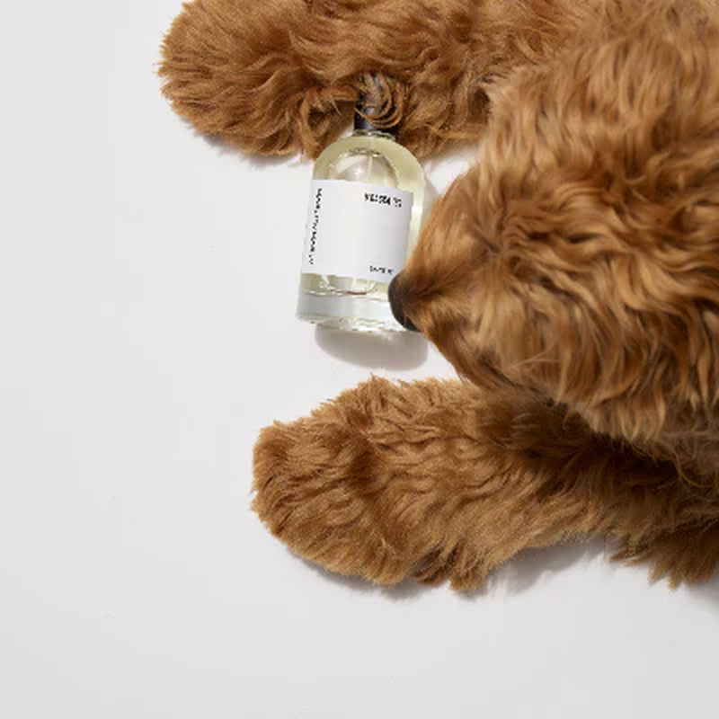 Dog Perfume | D'Bacca 169