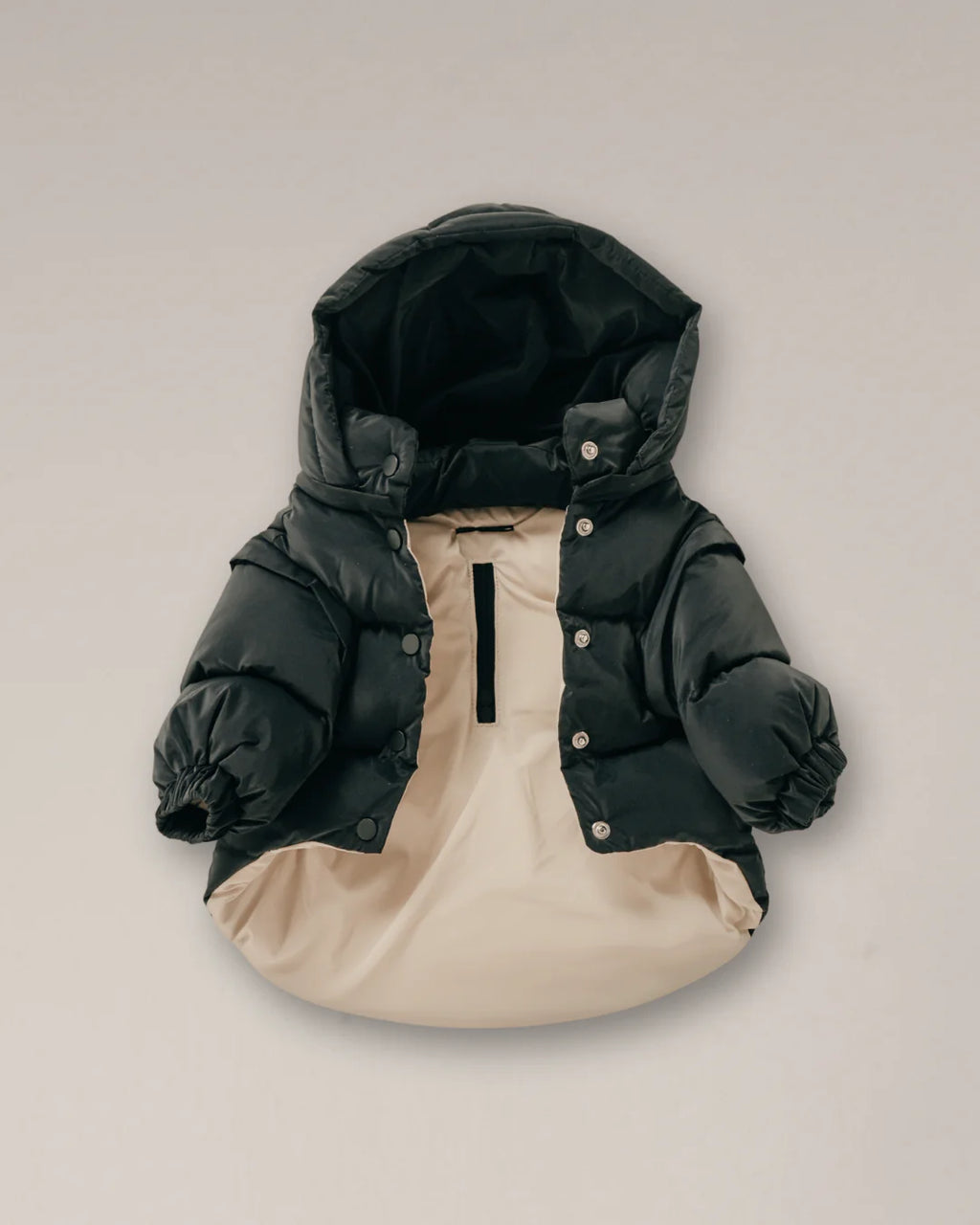 Midnight | the Modular Puffer