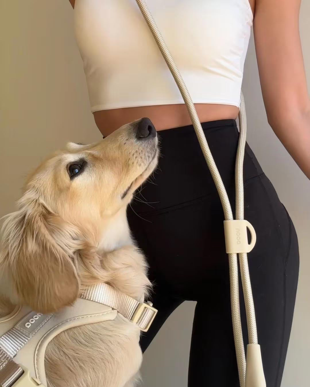 Oat Beige Softnest No-Pull Harness & Leash Set