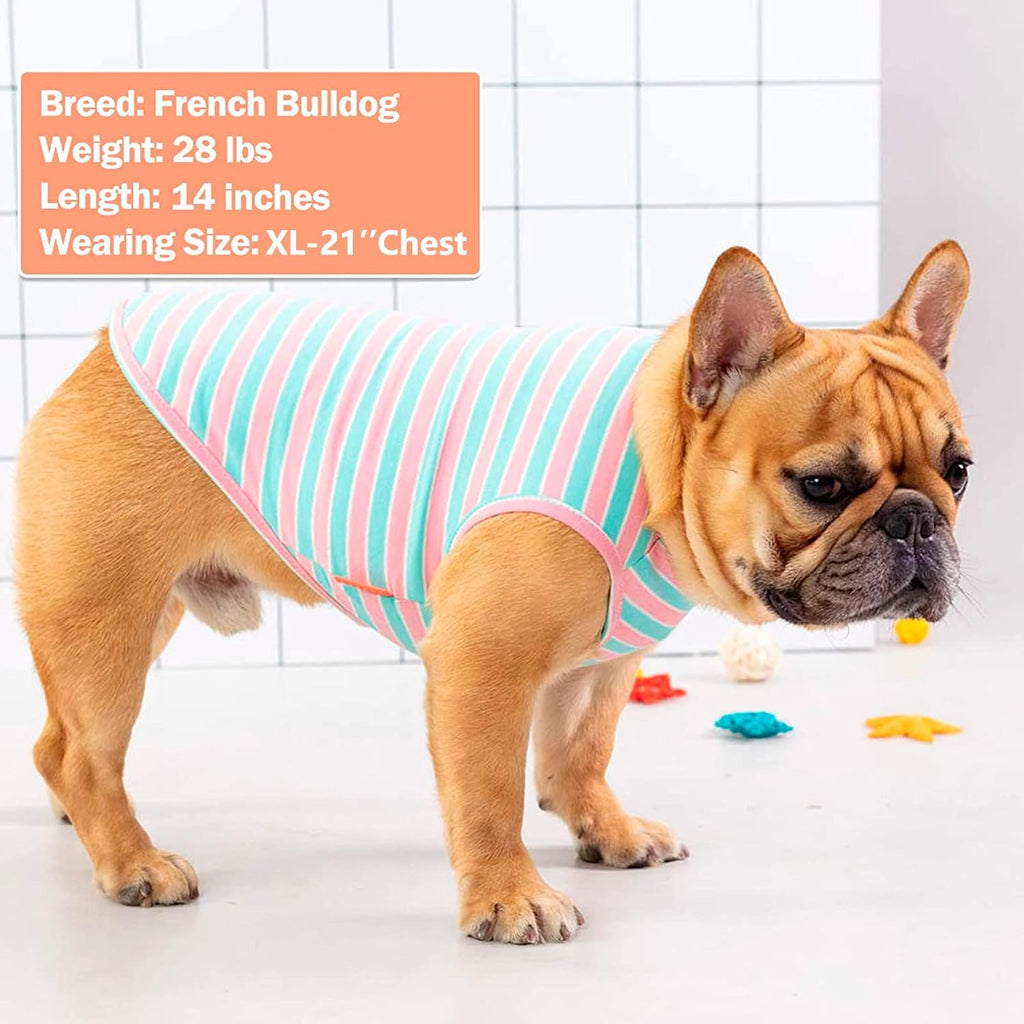 Cozy Stretch Dog Shirt