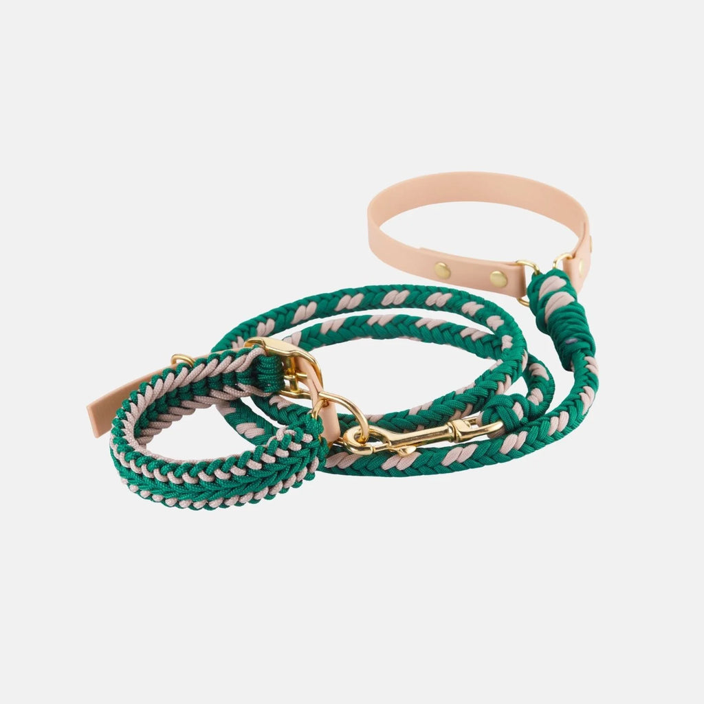 Emerald Green Collar - Catalina