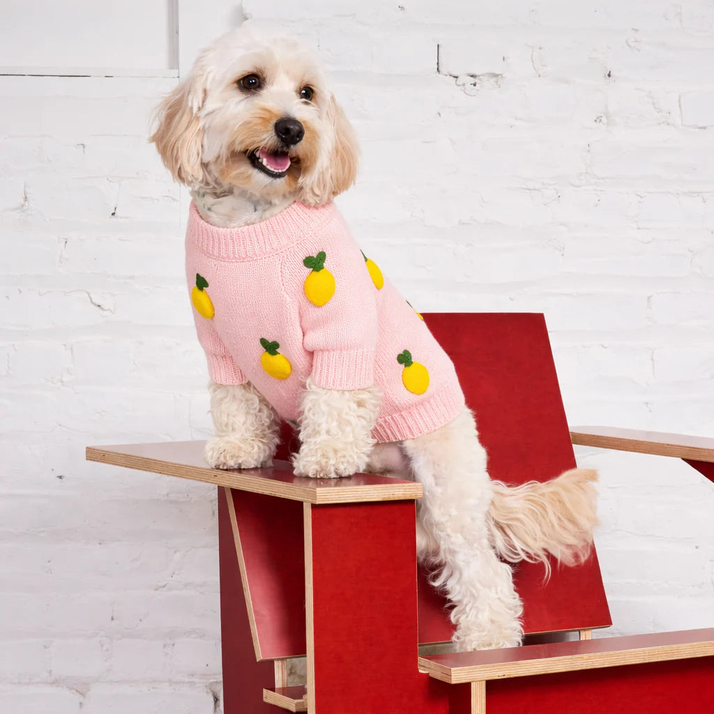 Lemon Sweater