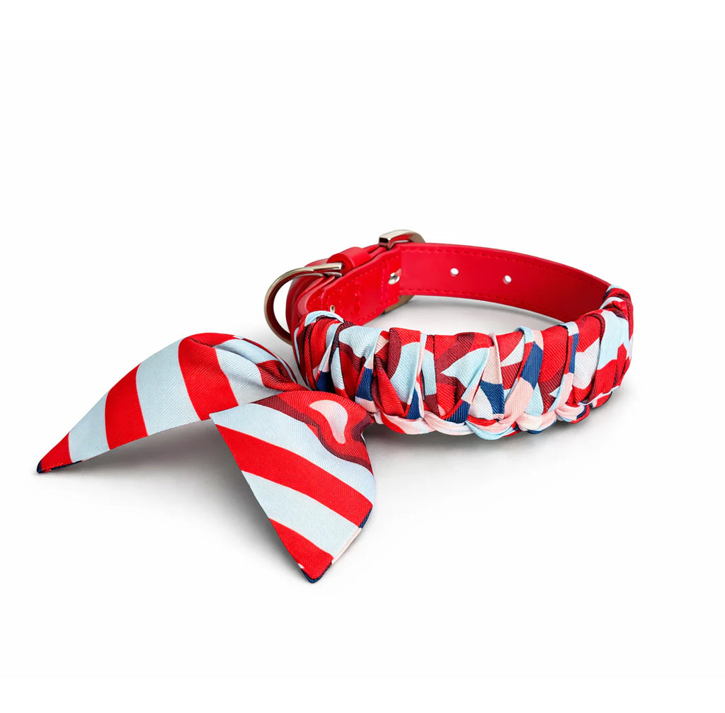 Hundehalsband Twilly Valentine - Baby Blue