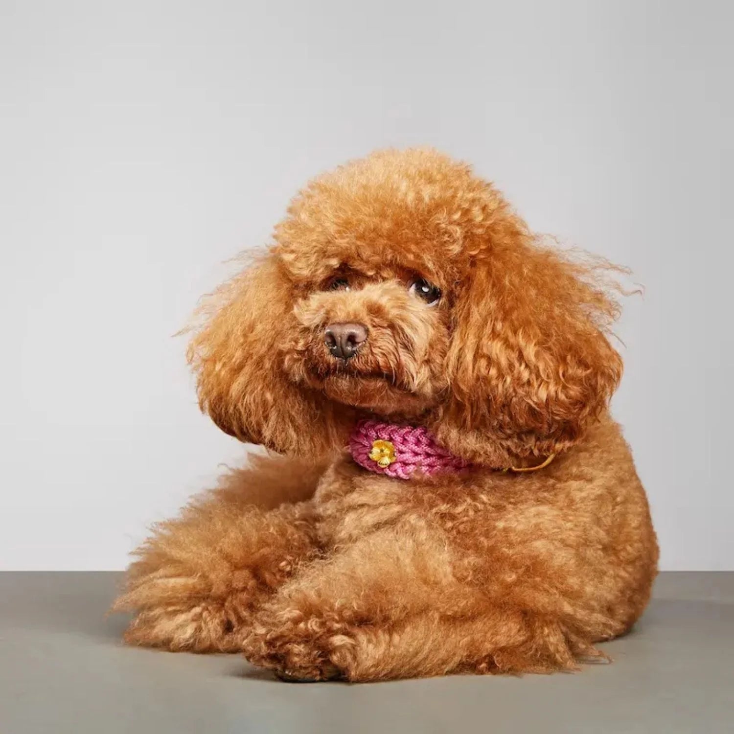 Flor Bubblegum Collar