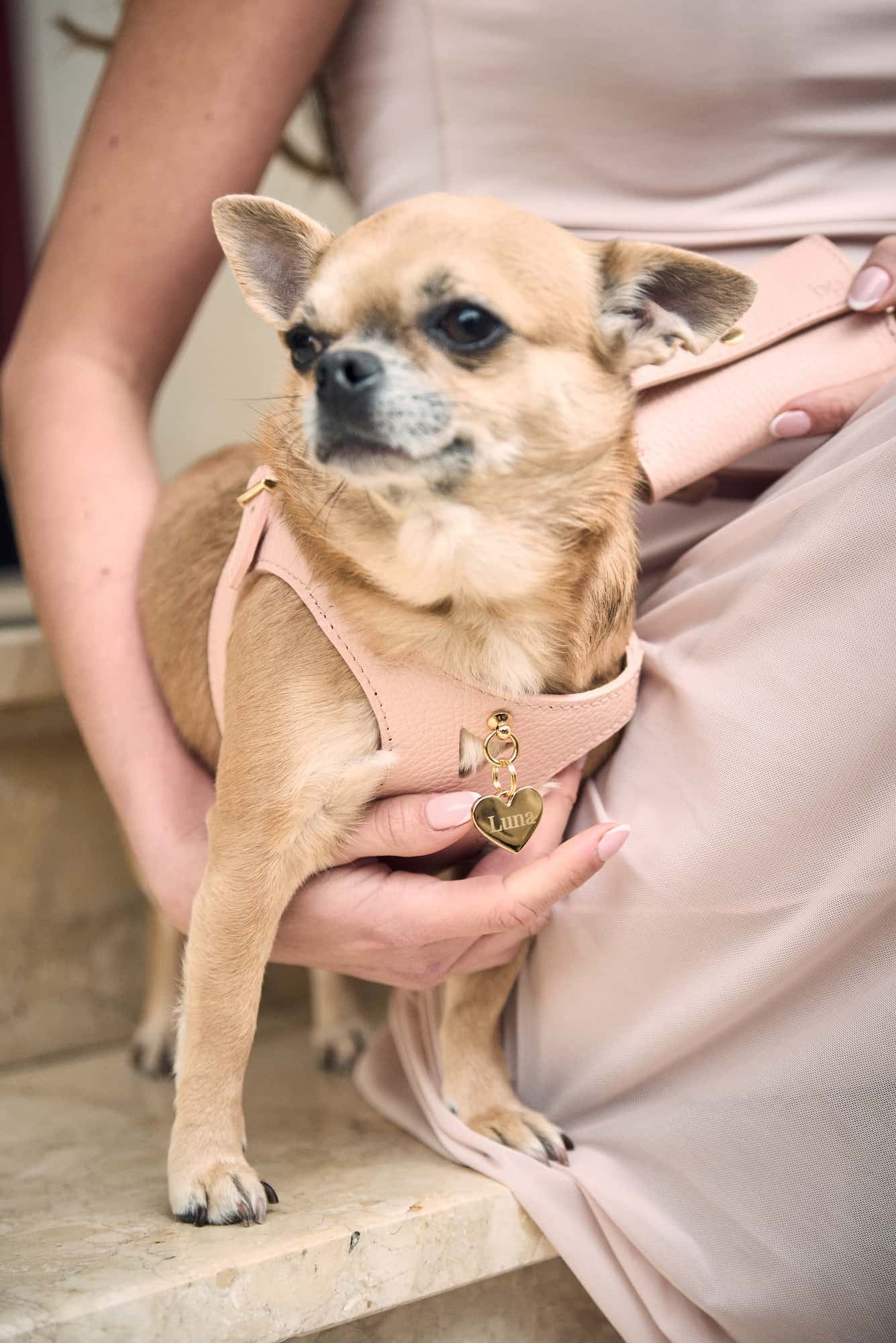 Peach Leather Juno Dog Harness
