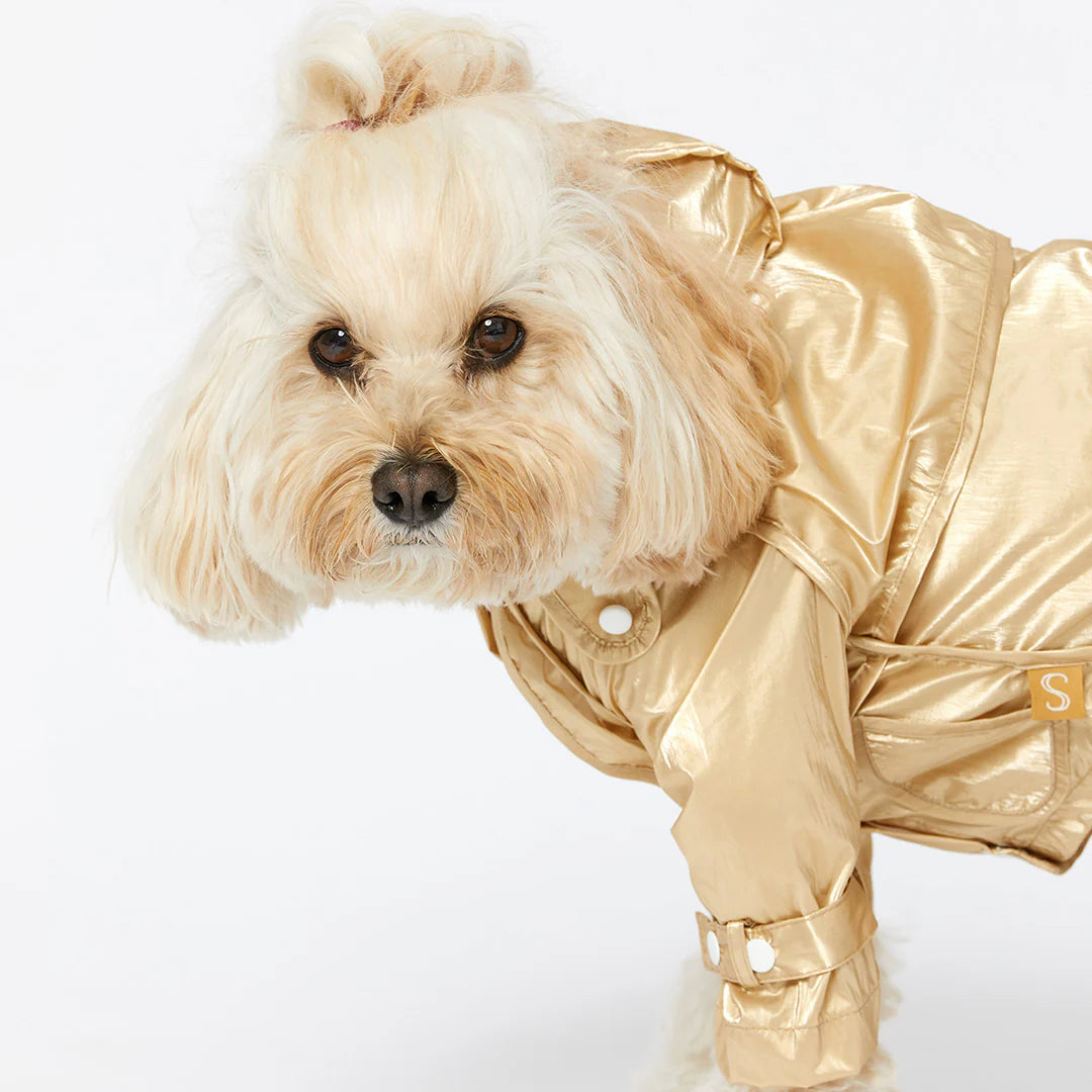 Raincoat - Gold