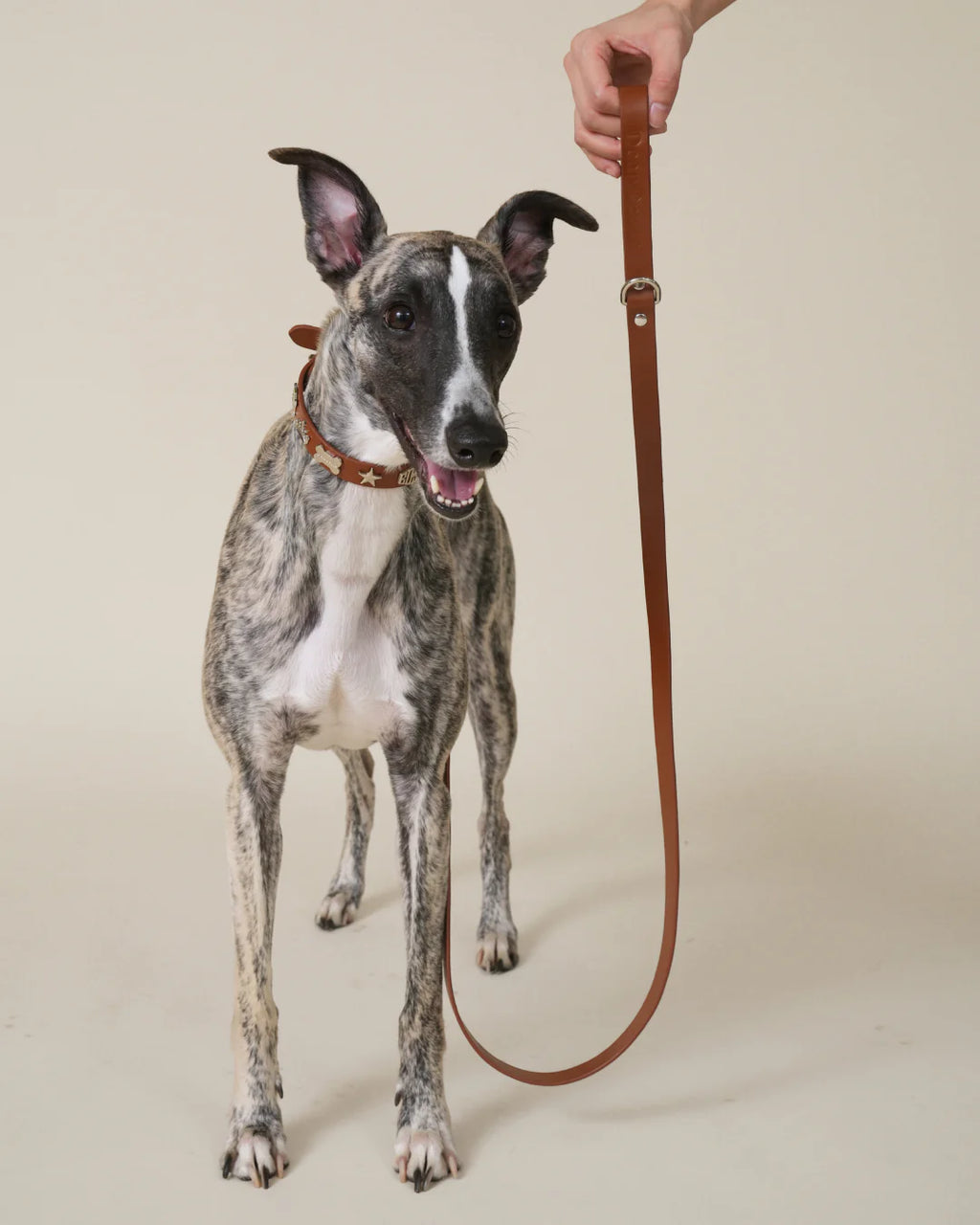 Boss Leash