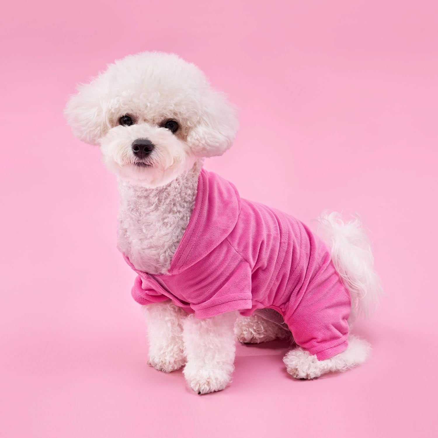 Juicy Couture - Hooded Pet Juicy Bling Velour Tracksuit