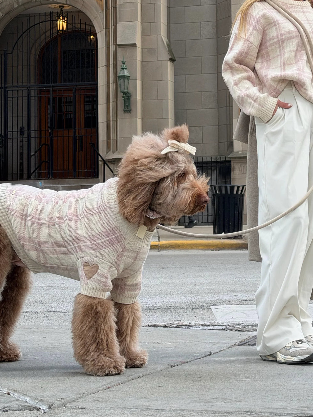 Hearthmauve Dog Sweater