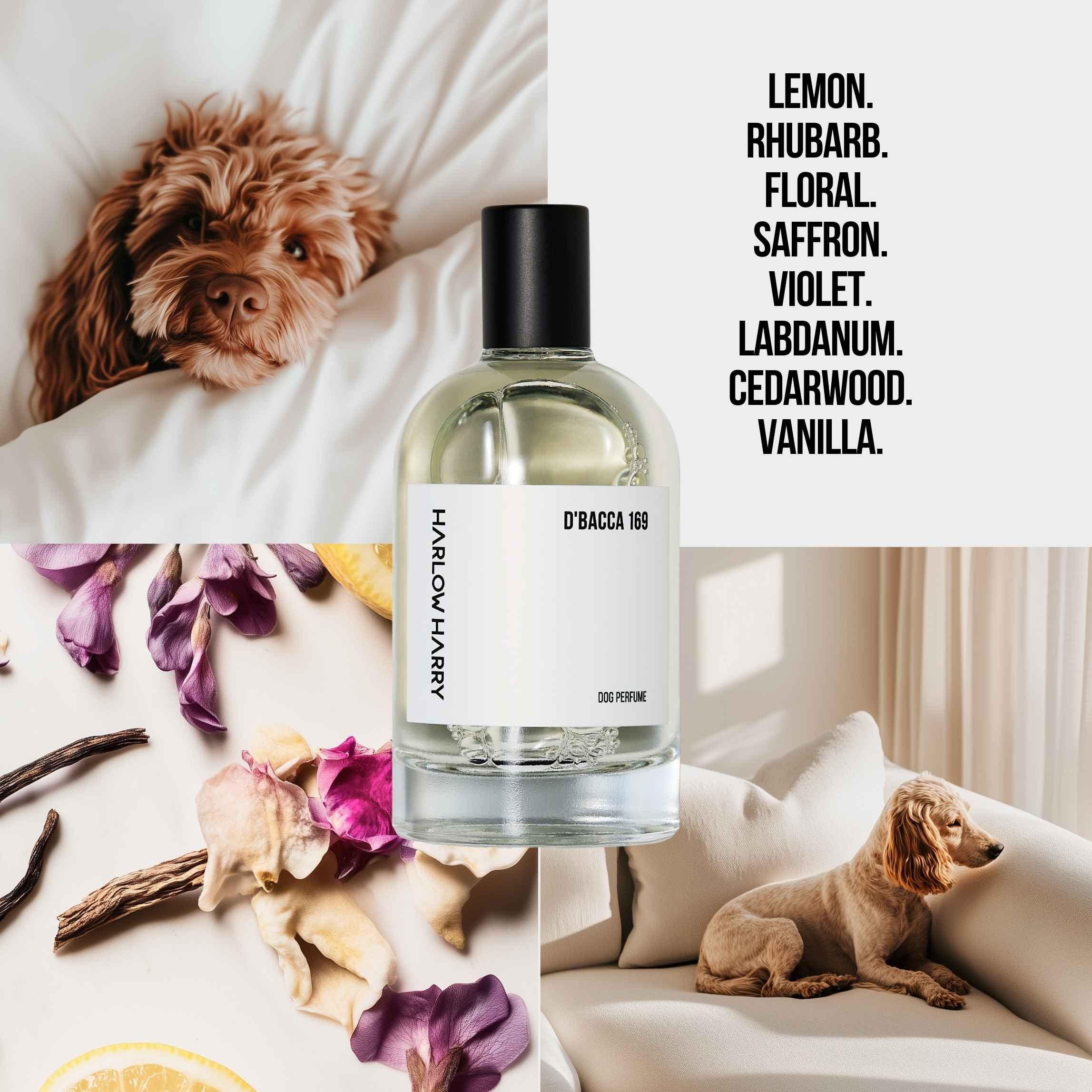 Dog Perfume | D'Bacca 169