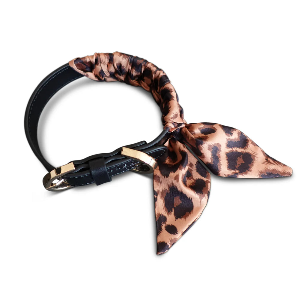 Dog Collar Twilly Leo