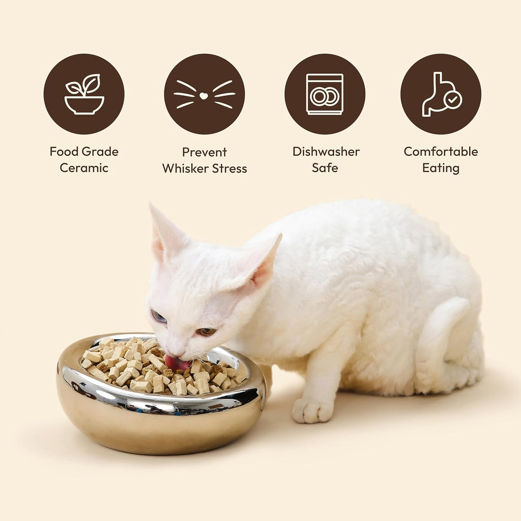 The Pebble Pet Bowl - Flat Blue