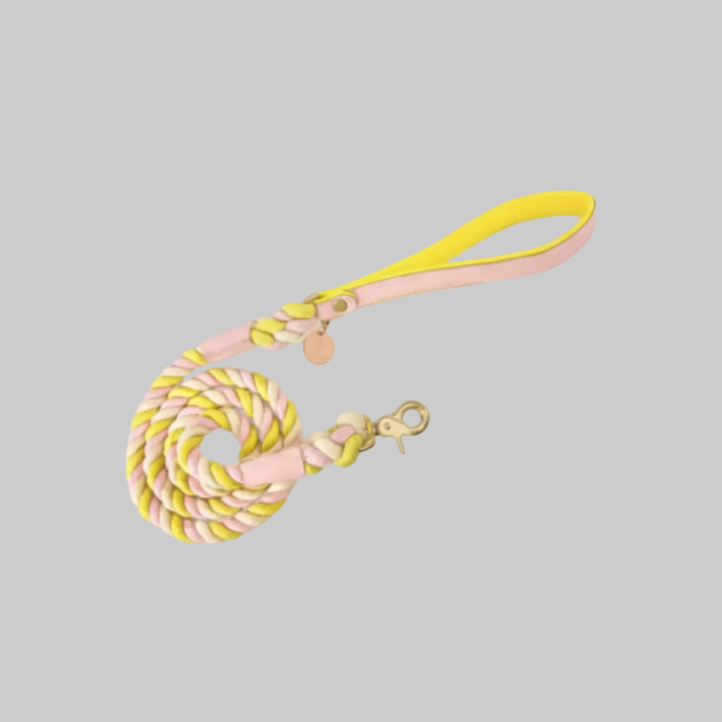 The Braided Rope Leather-Handle Leash