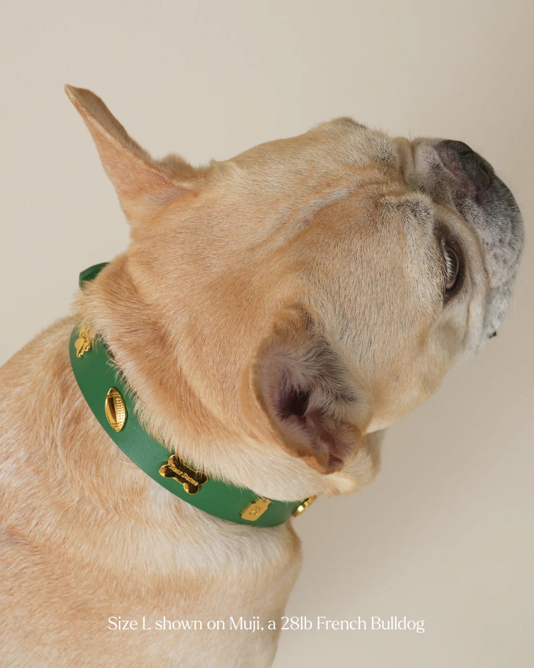 Athlete Collar
