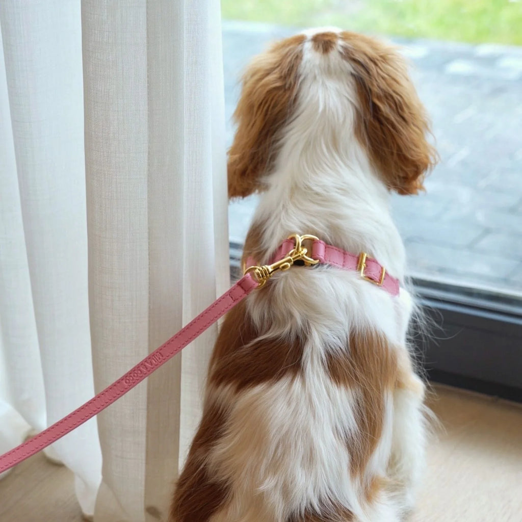 Italian Leather Harness – Pink & Gold