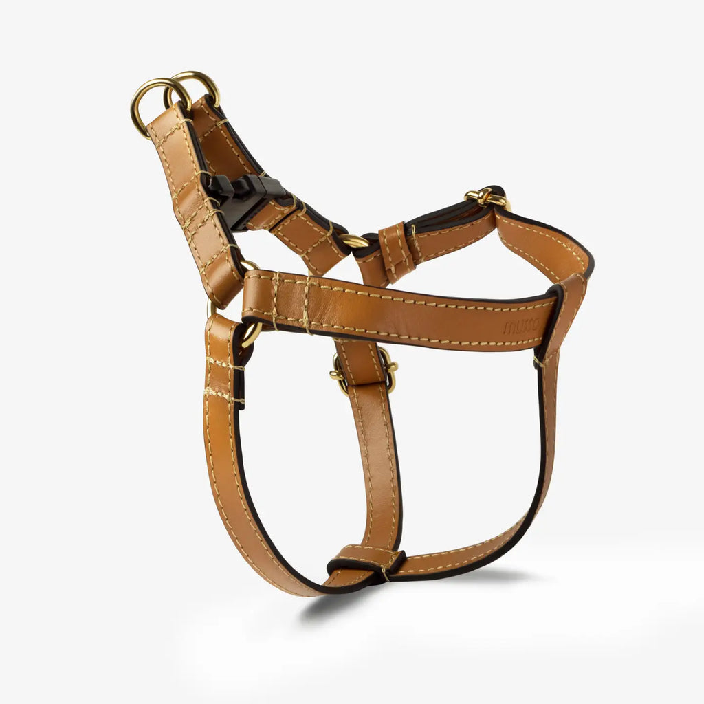 The Caramello Harness Set