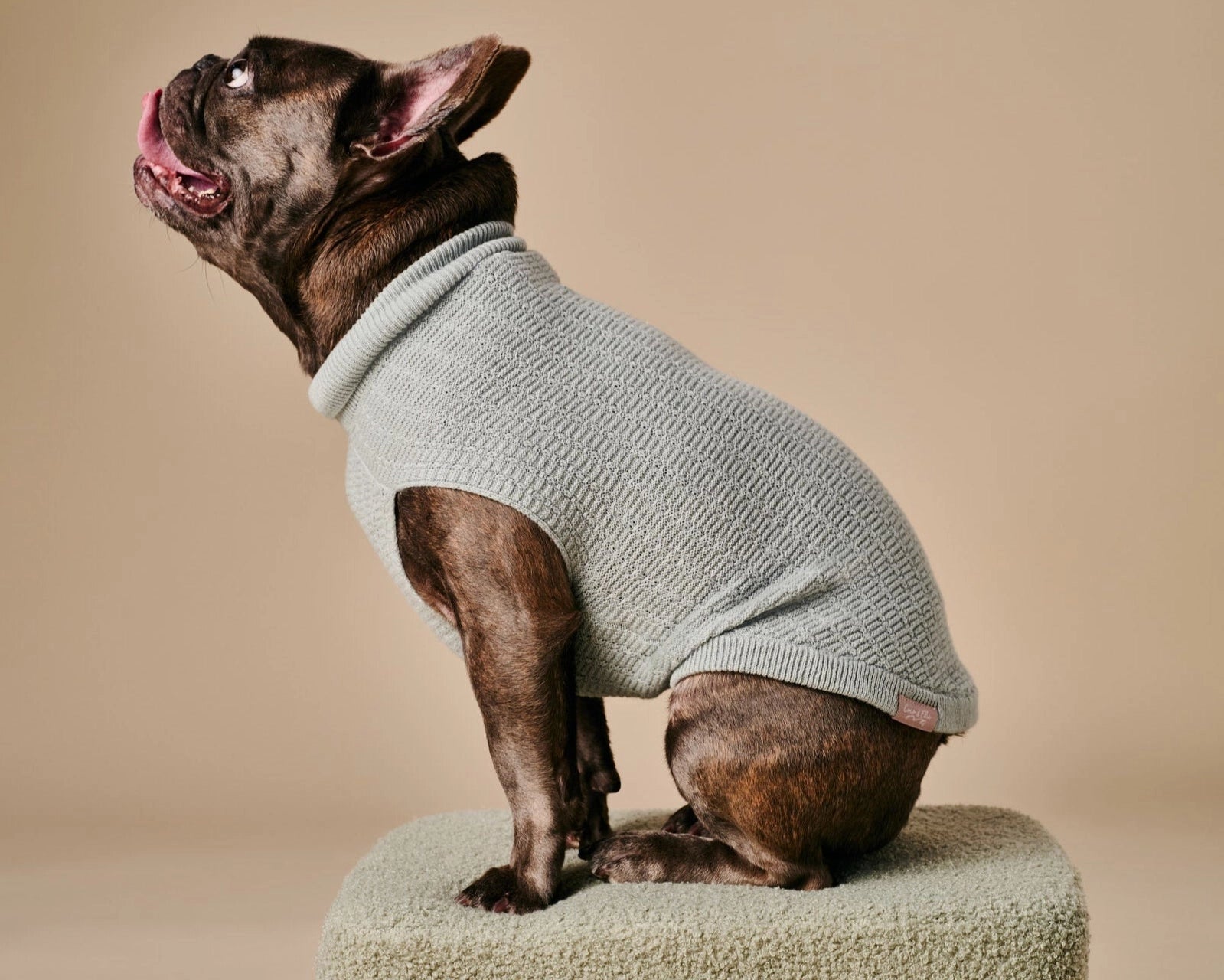 Coco Sweater – Green