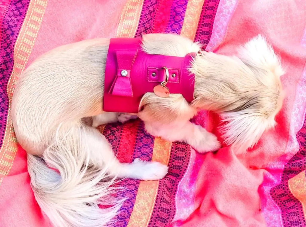 Handcrafted Leather Harness
