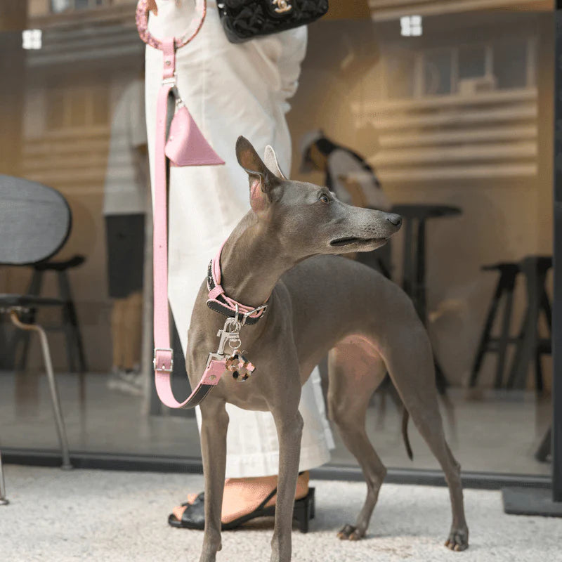 Flamingo Leather Dog Leash