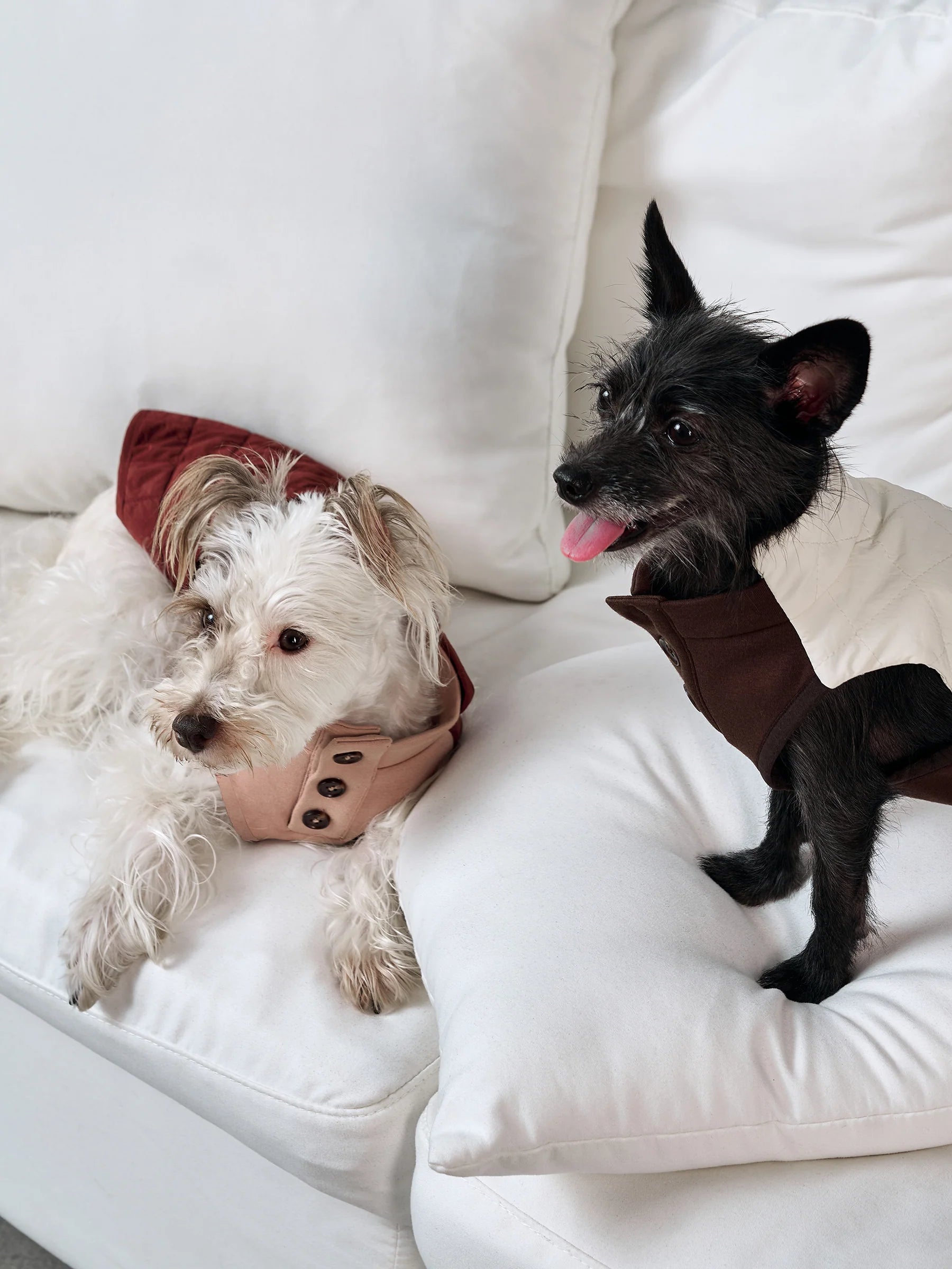 Pup Trust Fund