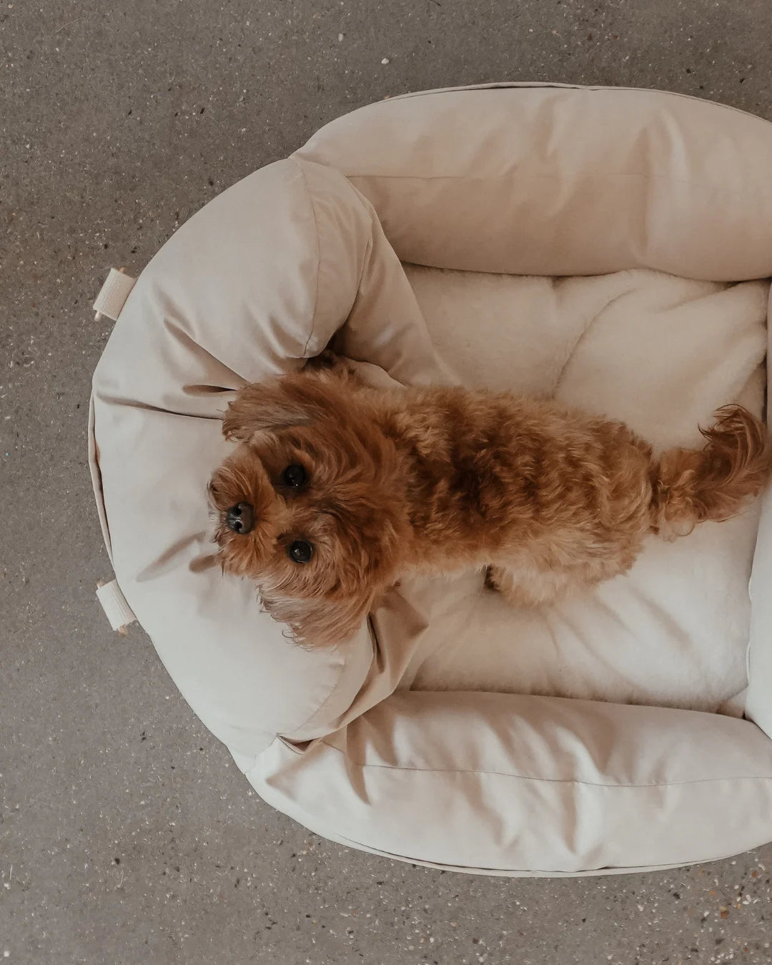 Marshmallow | the Puffer Car Seat