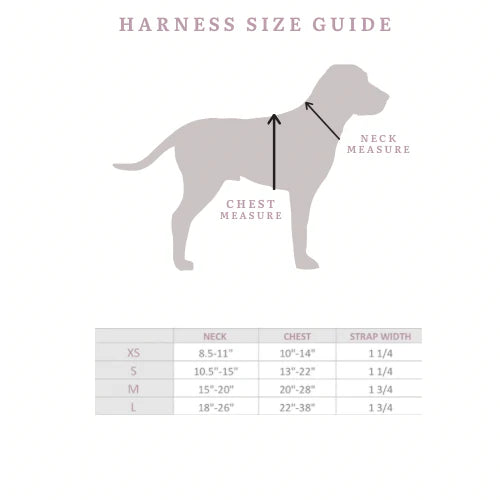 Comfort Teddy Harness/Leash Set- Toffee