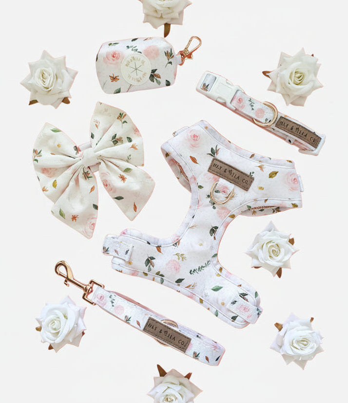 La Vie En Rose Designer Dog Harness Set