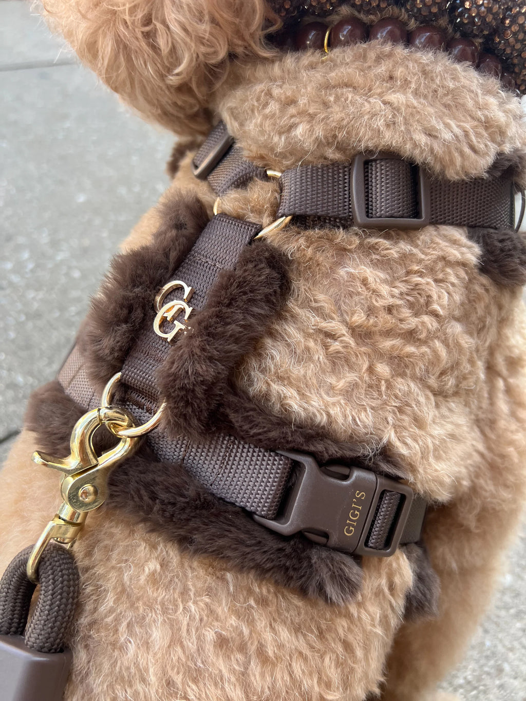 Furlowe Mocha Signature Set