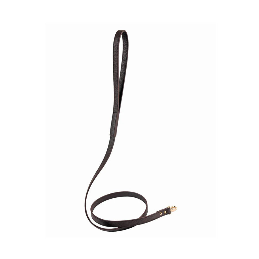 Balley Dog Leash by Moshiqa