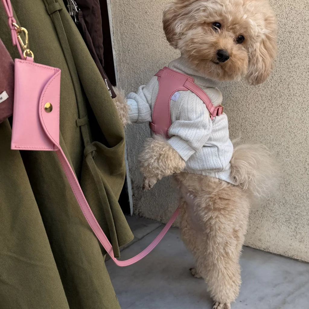 Italian Leather Harness – Pink & Gold